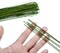 18 Gague Floral Stem Wire,100pcs Paper Wrapped Florist Wire for Floral Arrangement